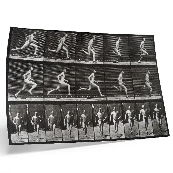 Poszter nyomtatás Az állatok mozgásának 60. táblája (1887), Eadweard Muybridge fényképe
