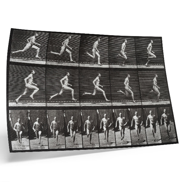 Poszter nyomtatás Az Állatok mozgásának 60. táblája (1887), Eadweard Muybridge fényképezte