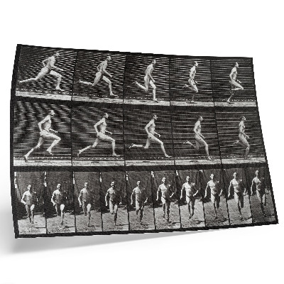Poszter nyomtatás Az Állatok mozgásának 60. táblája (1887), Eadweard Muybridge fényképezte