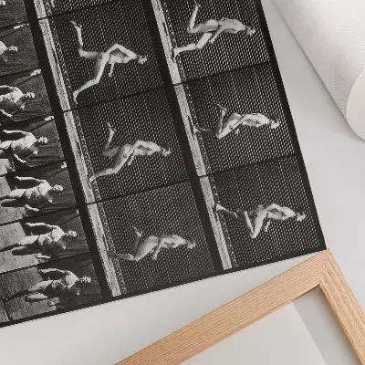 Poszter nyomtatás Az állatok mozgásának 60. táblája (1887), Eadweard Muybridge fényképe