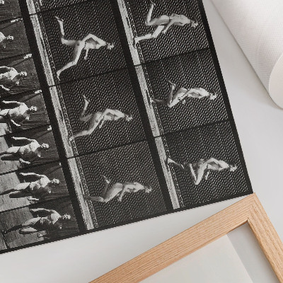 Poszter nyomtatás Az Állatok mozgásának 60. táblája (1887), Eadweard Muybridge fényképezte