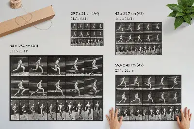 Poszter nyomtatás Az állatok mozgásának 60. táblája (1887), Eadweard Muybridge fényképe