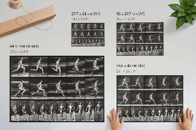Poszter nyomtatás Az Állatok mozgásának 60. táblája (1887), Eadweard Muybridge fényképezte