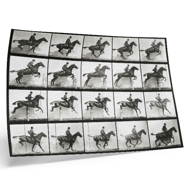 Poszter 640-es számú állatmozdony (1887), lovaglás, Eadweard Muybridge fényképezte