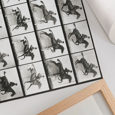 Poszter 640-es számú állatmozdony (1887), lovaglás, Eadweard Muybridge fényképezte