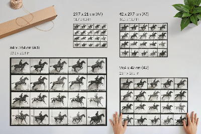 Poszter 640-es számú állatmozdony (1887), lovaglás, Eadweard Muybridge fényképezte