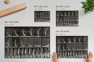 Poszter Egy férfi hanyatt fekve, kézen állva. Eadweard Muybridge fotója, 1887.