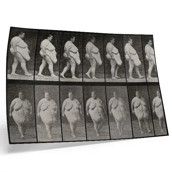 Vintage poszter Túlsúlyos nő sétál, Eadweard Muybridge fototípiája 1887-ből