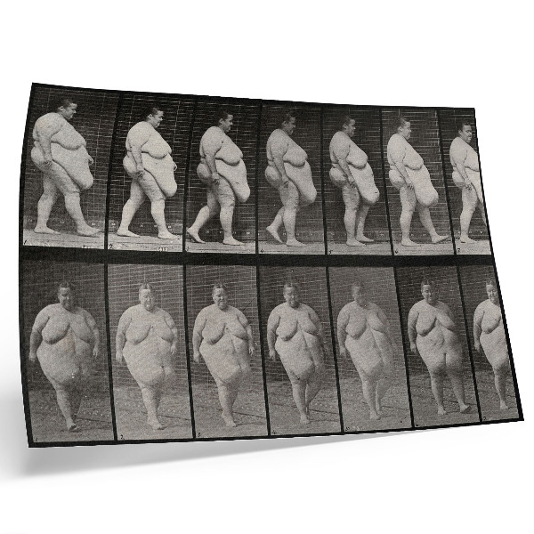 Vintage poszter Túlsúlyos nő sétál. Eadweard Muybridge fototípiája, 1887