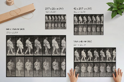 Vintage poszter Túlsúlyos nő sétál. Eadweard Muybridge fototípiája, 1887
