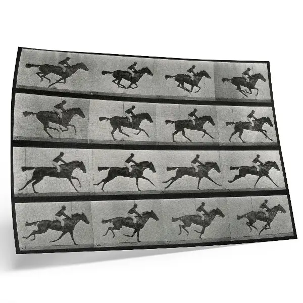 Poszter nyomtatás Eadweard Muybridge Vágtázó ló és lovasa című fotója 1887-ből