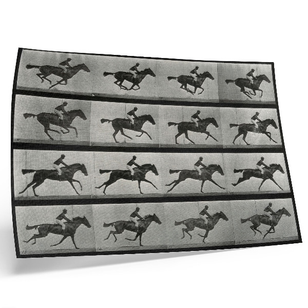 Poszter nyomtatás Vágtázó ló és lovasa. Eadweard Muybridge fotója, 1887