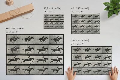 Poszter nyomtatás Vágtázó ló és lovasa. Eadweard Muybridge fotója, 1887
