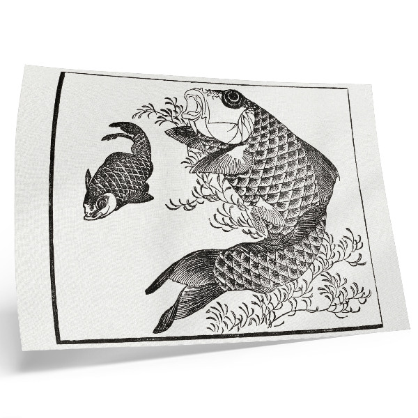 Poszter Hokusai pontyja, egy japán állatillusztráció