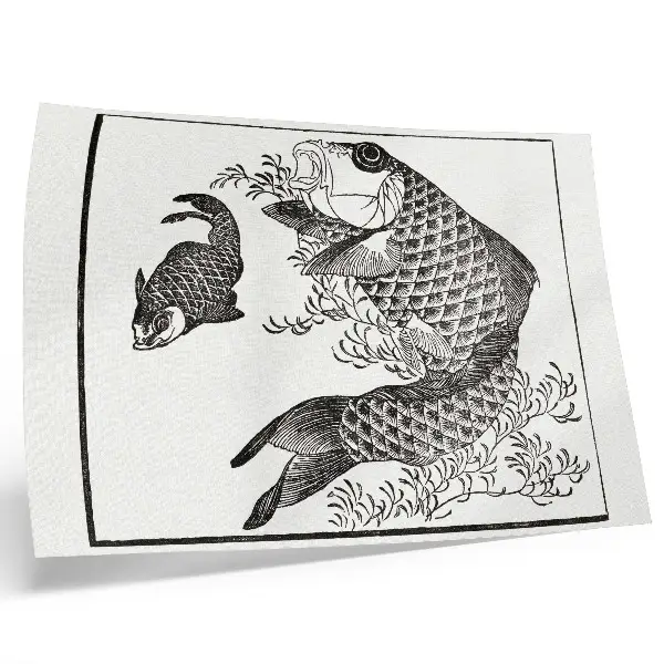 Poszter Hokusai pontyja japán állatillusztráció