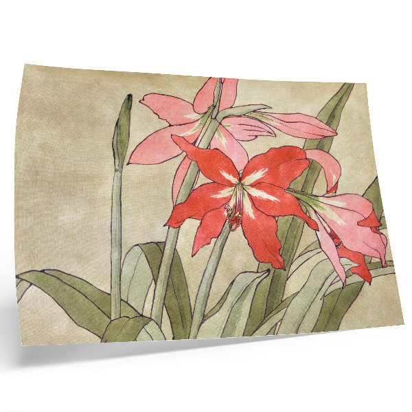 Poszter Amaryllis (1915), Hannah Borger Overbeck
