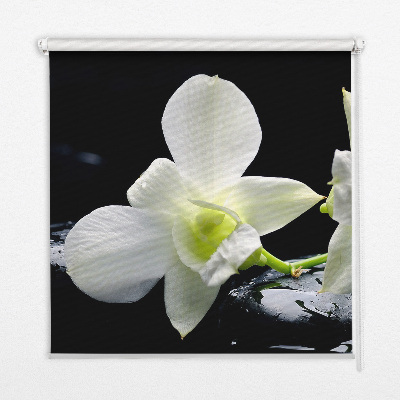 Függöny roló Orchideák és elegancia
