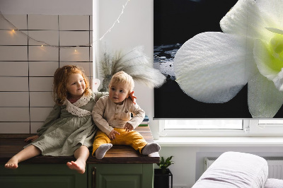 Függöny roló Orchideák és elegancia