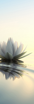 Roló árnyékoló Tavirózsák