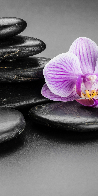 Függöny roló Orchidea a köveken