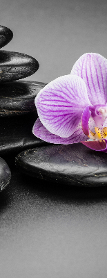 Függöny roló Orchidea a köveken