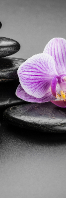 Függöny roló Orchidea a köveken