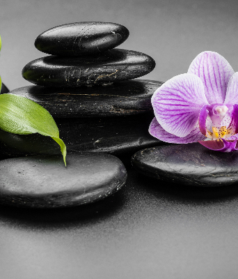 Függöny roló Orchidea a köveken