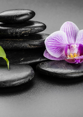 Függöny roló Orchidea a köveken