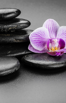 Függöny roló Orchidea a köveken