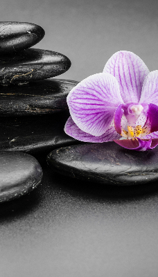 Függöny roló Orchidea a köveken