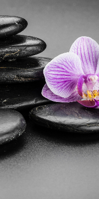 Függöny roló Orchidea a köveken