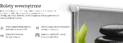 Függöny roló Orchidea a köveken