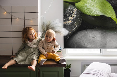 Függöny roló Orchidea a köveken