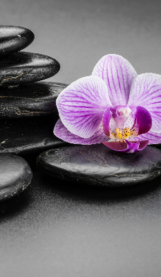 Függöny roló Orchidea a köveken