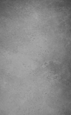 Függöny roló Szürke füst