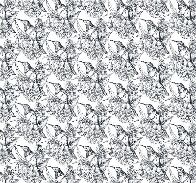 Függöny roló Rajzolt virágok