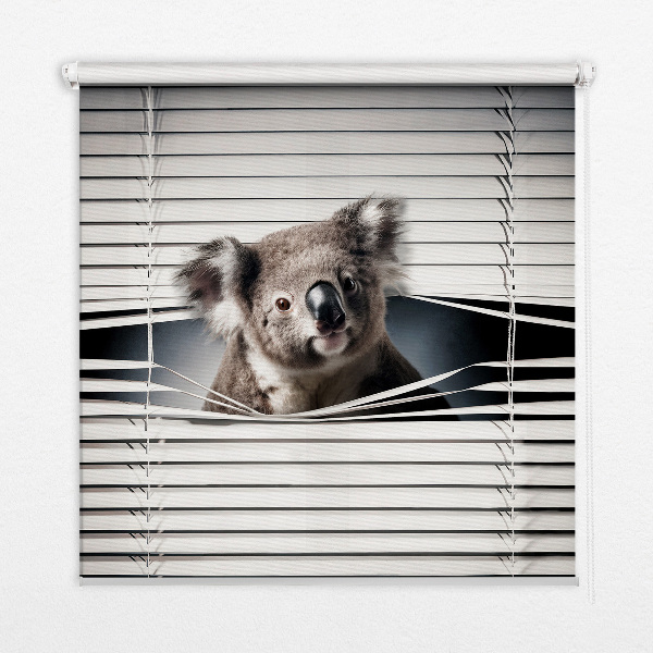 Roló árnyékoló Koala