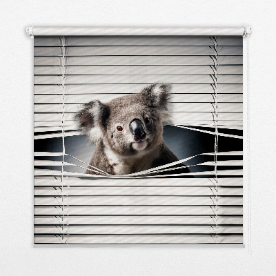 Roló árnyékoló Koala