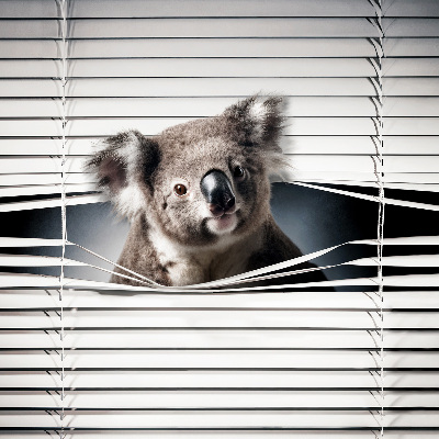 Roló árnyékoló Koala