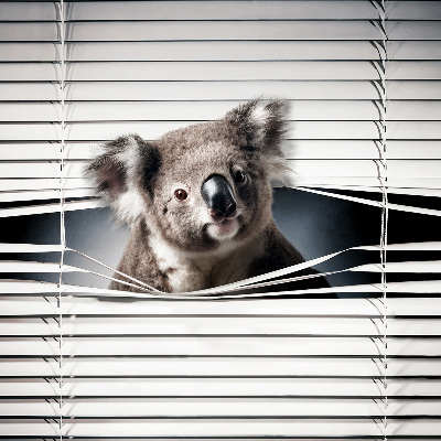 Roló árnyékoló Koala