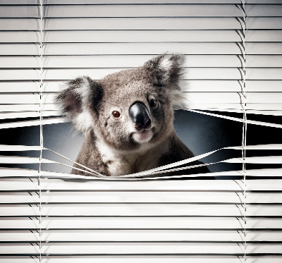 Roló árnyékoló Koala
