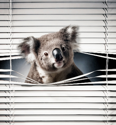 Roló árnyékoló Koala