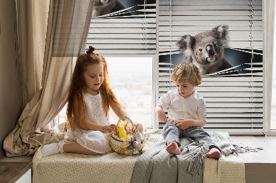 Roló árnyékoló Koala