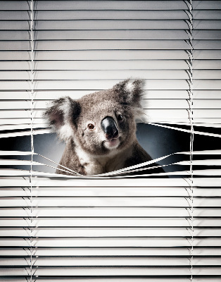 Roló árnyékoló Koala