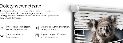 Roló árnyékoló Koala