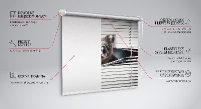 Roló árnyékoló Koala