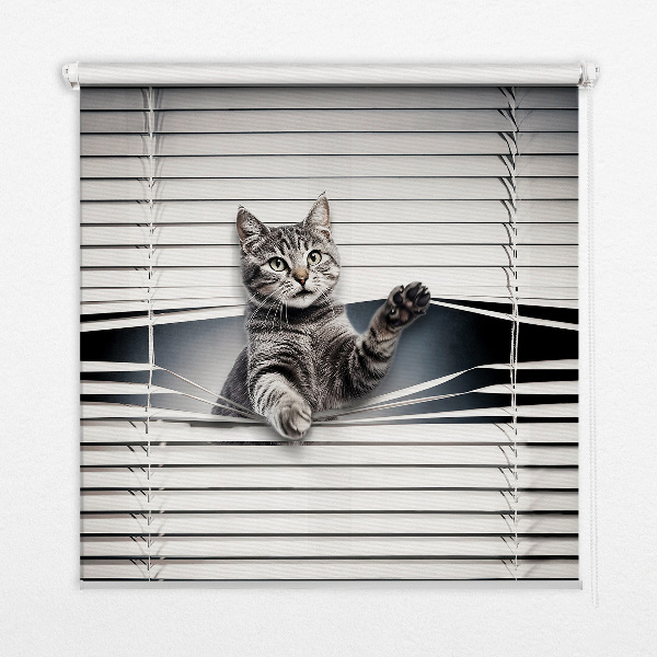 Függöny roló Macska