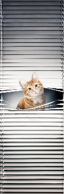 Ablakra roló Vörös macska