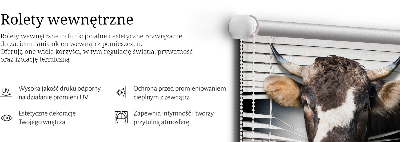 Roló árnyékoló Tehén