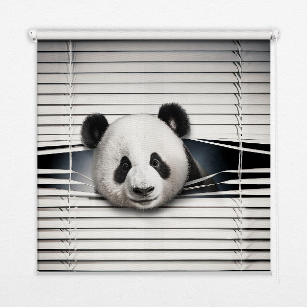 Függöny roló Panda